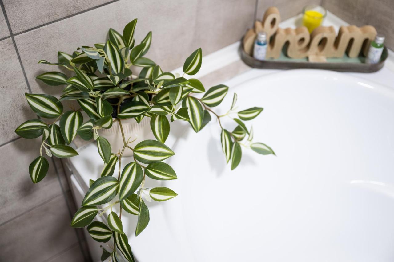 L&R Boutique Apartment Otelu Rosu Dış mekan fotoğraf